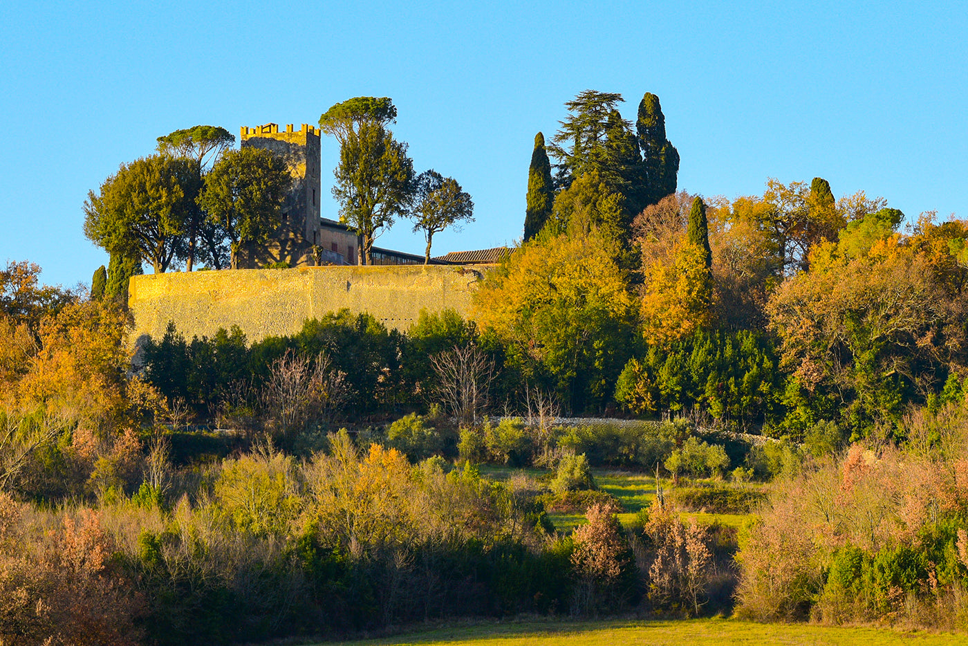 Il Castello del Gallo