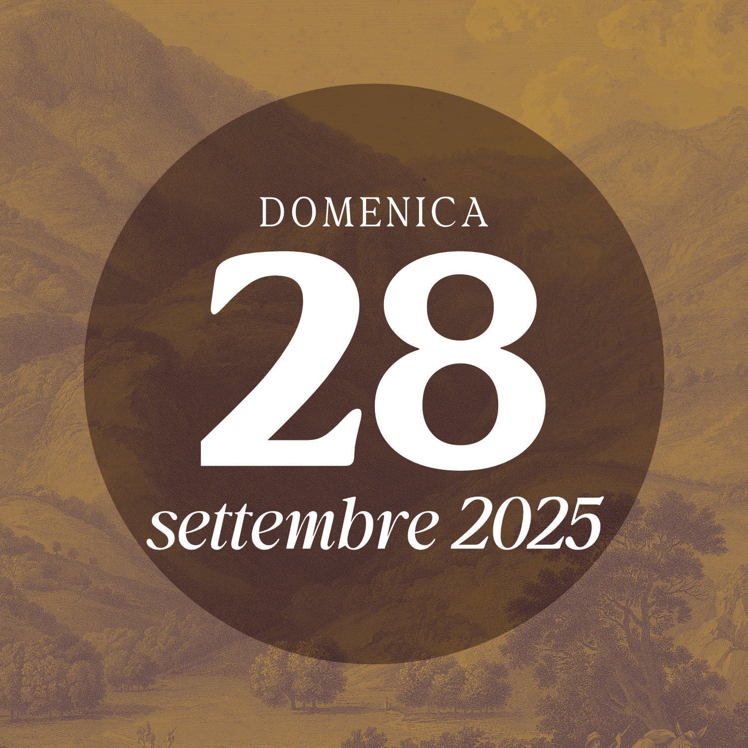 Sunday 28 September 2025 - Guided tour