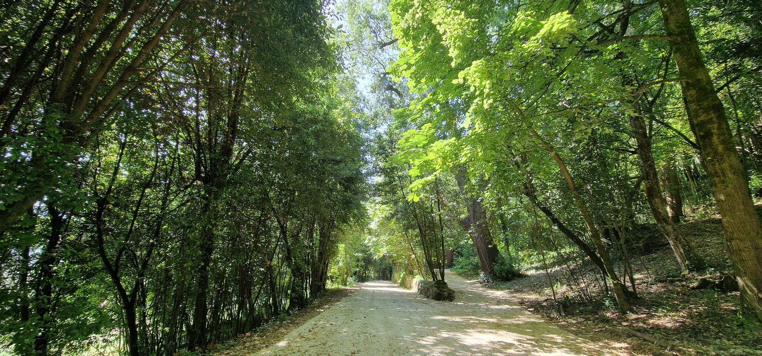 Eventi Convegni e Concerti