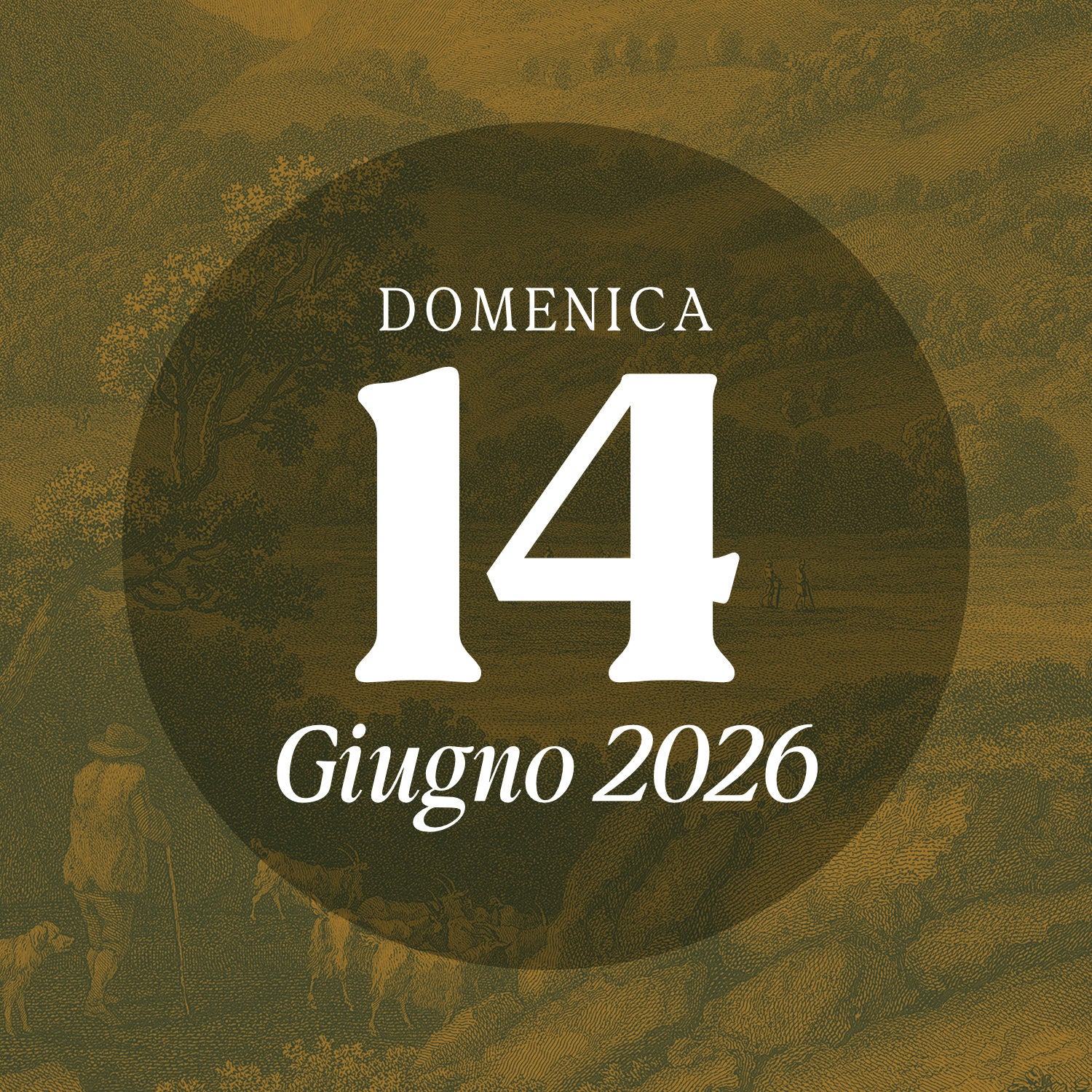 Saturday, May 23, 2026 - Guided tour