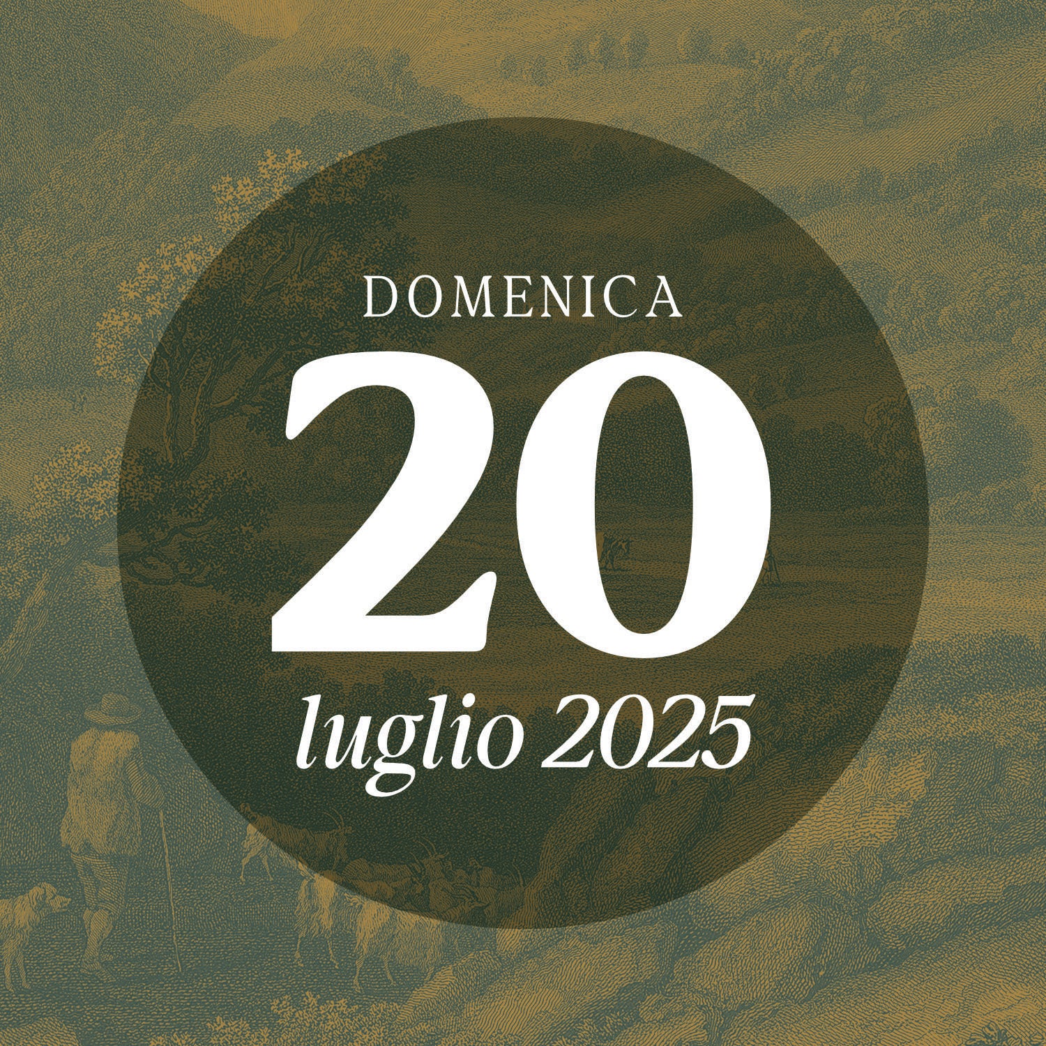 Sunday 20 July 2025 - Guided tour 