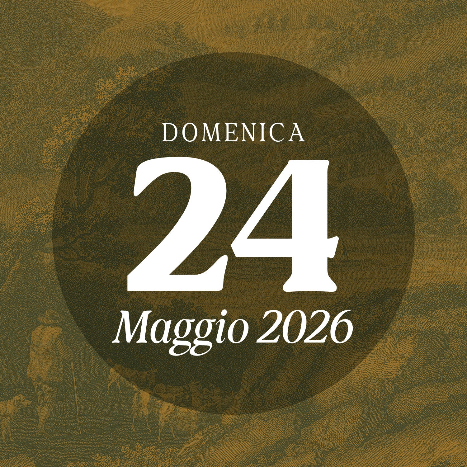 Saturday, November 1, 2025 - Special visit