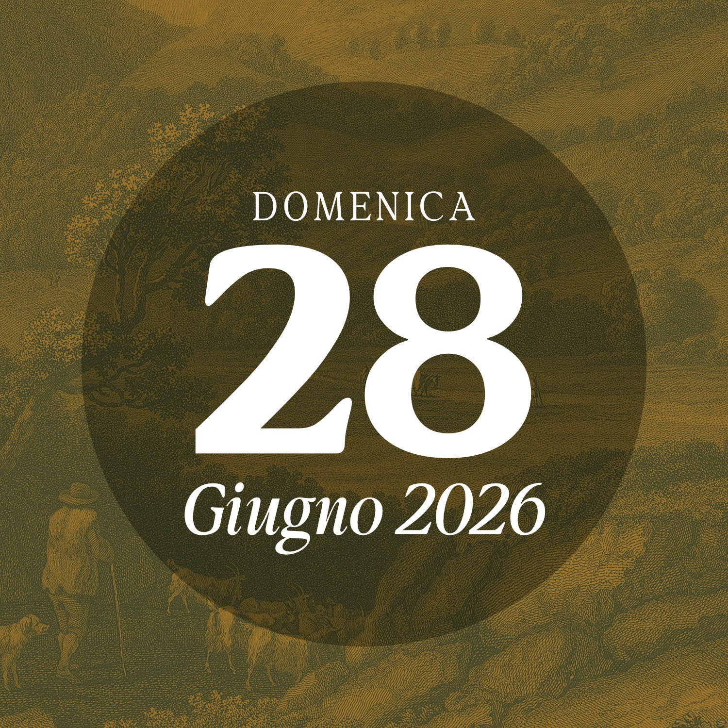 Saturday, May 23, 2026 - Guided tour