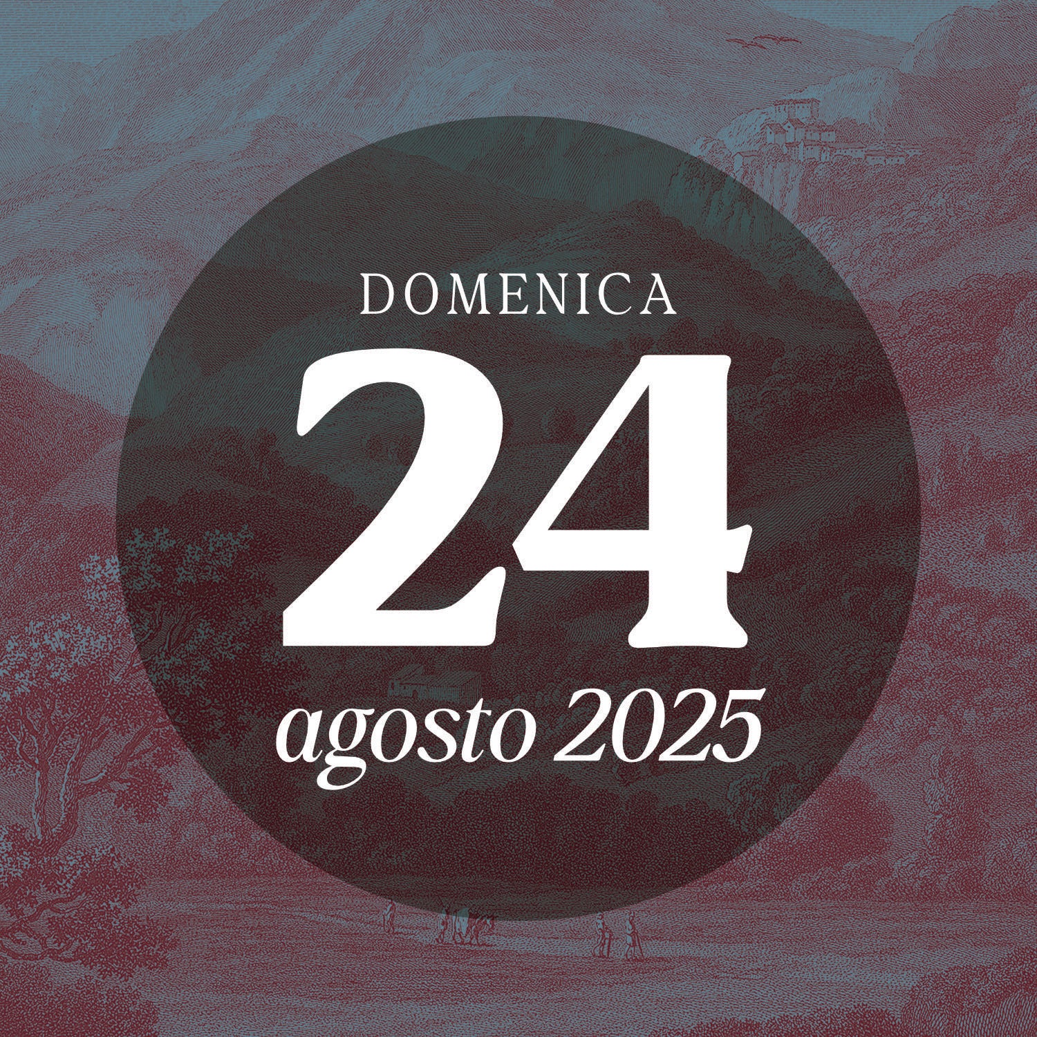 Sunday 24 August 2025 - Guided tour 