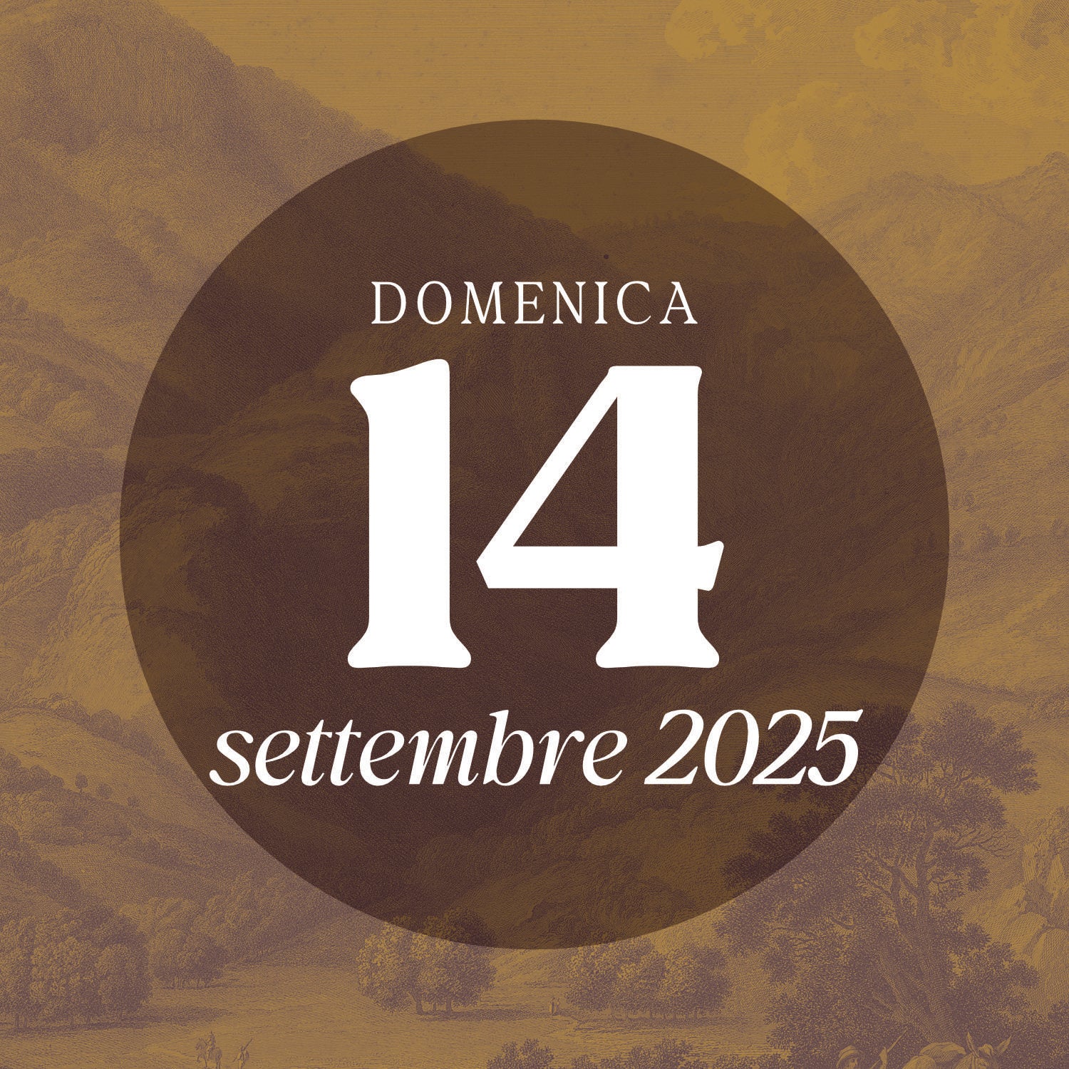 Sunday 14 September 2025 - Guided tour 
