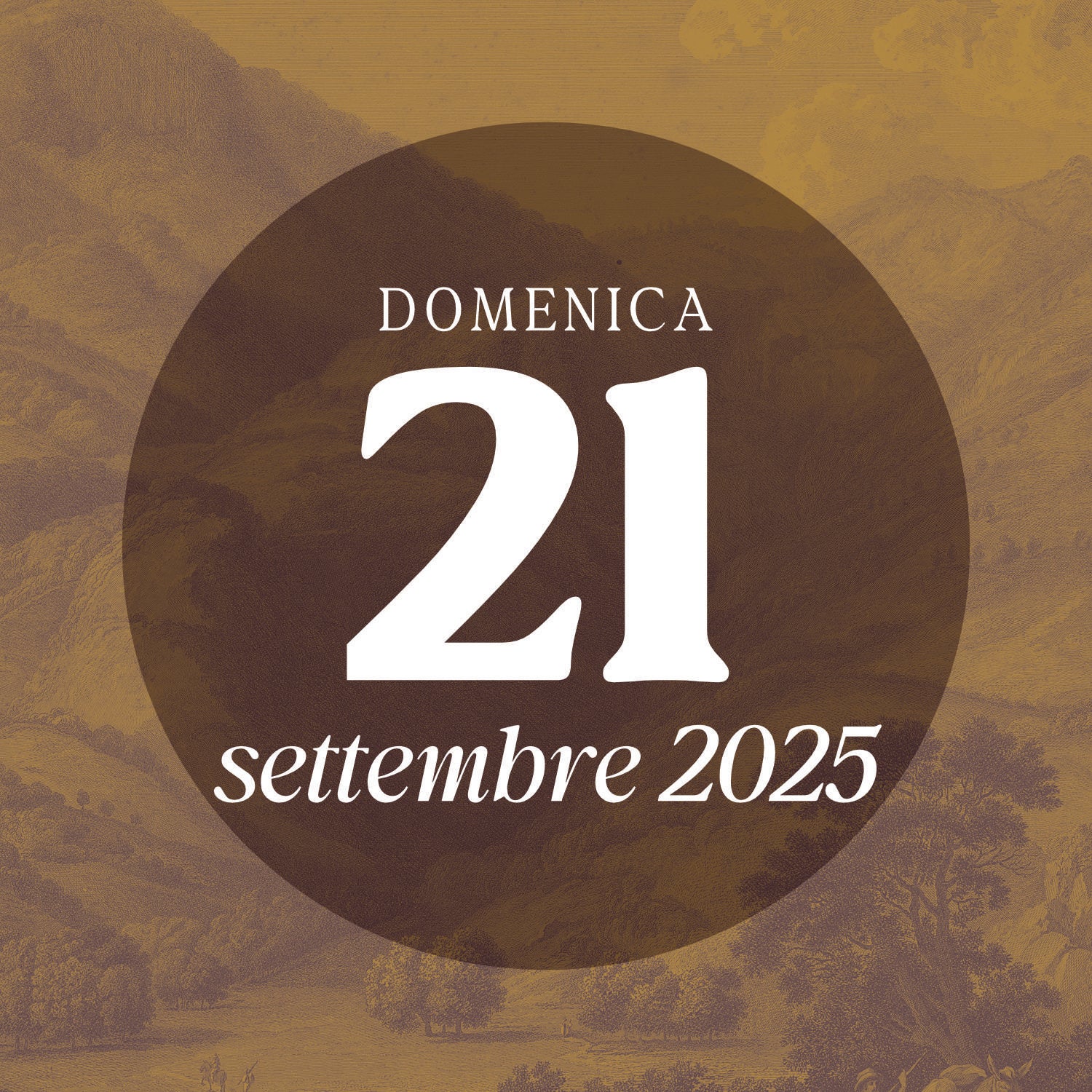 Sunday 21 September 2025 - Guided tour 