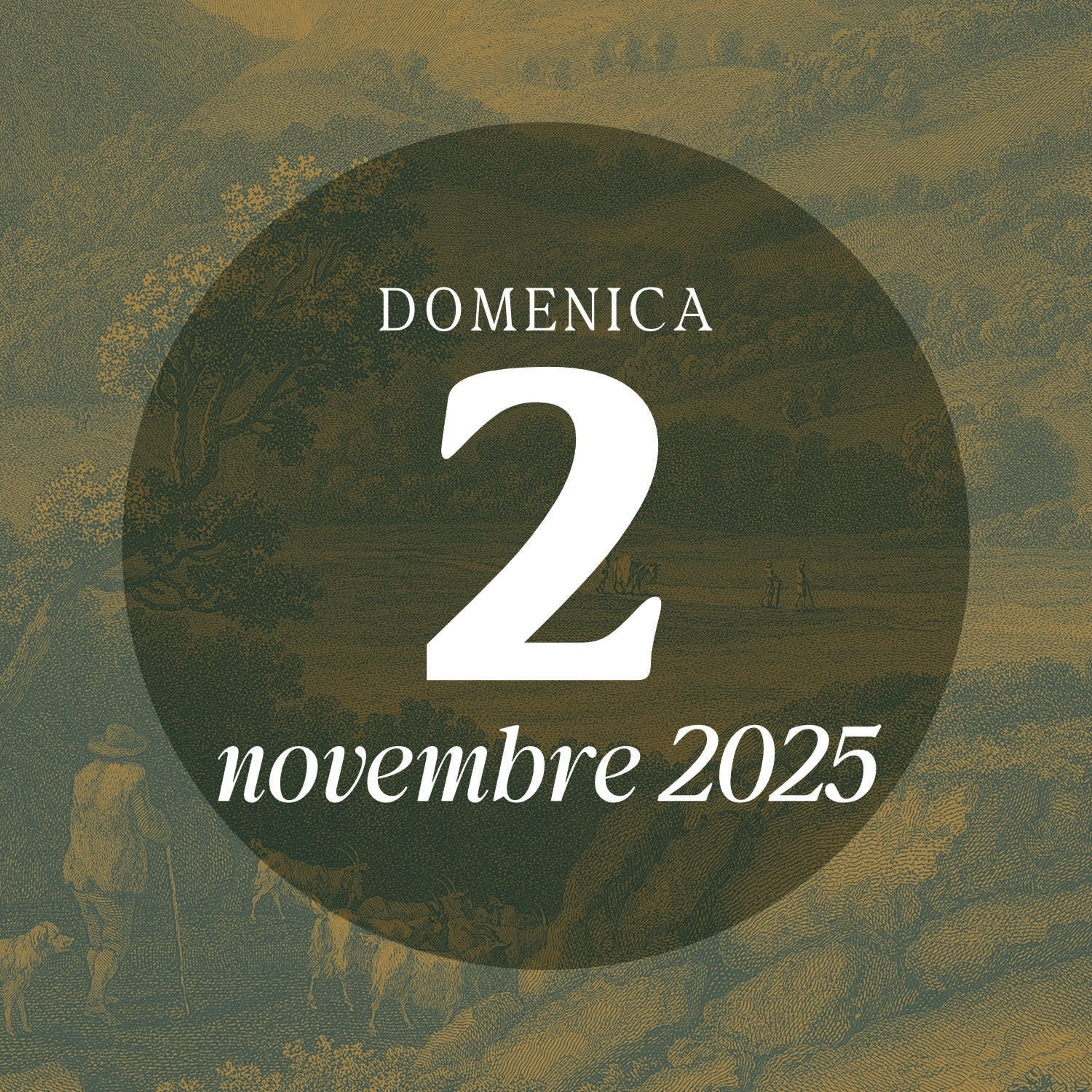 Sunday 2 November 2025 - Guided tour 