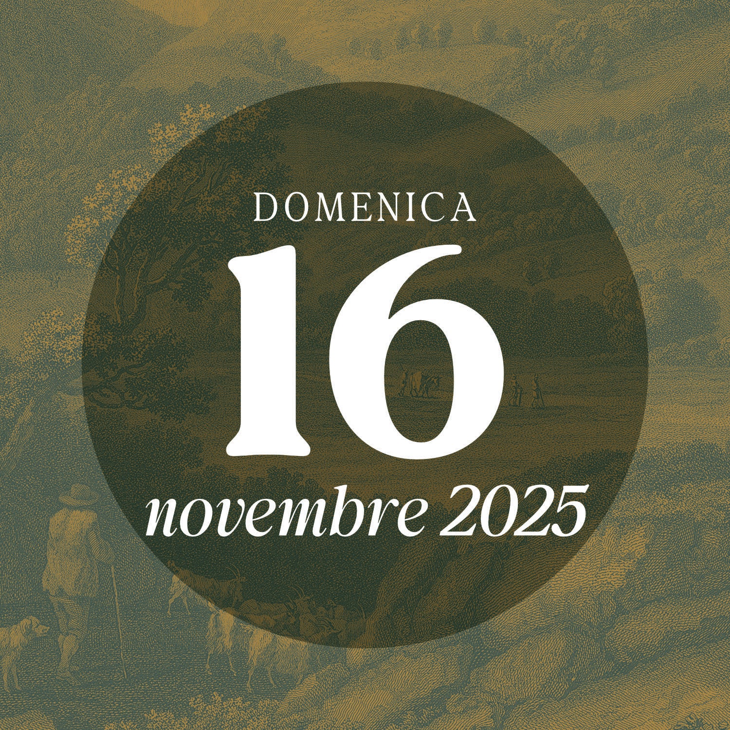 Sunday 16 November 2025 - Guided tour 