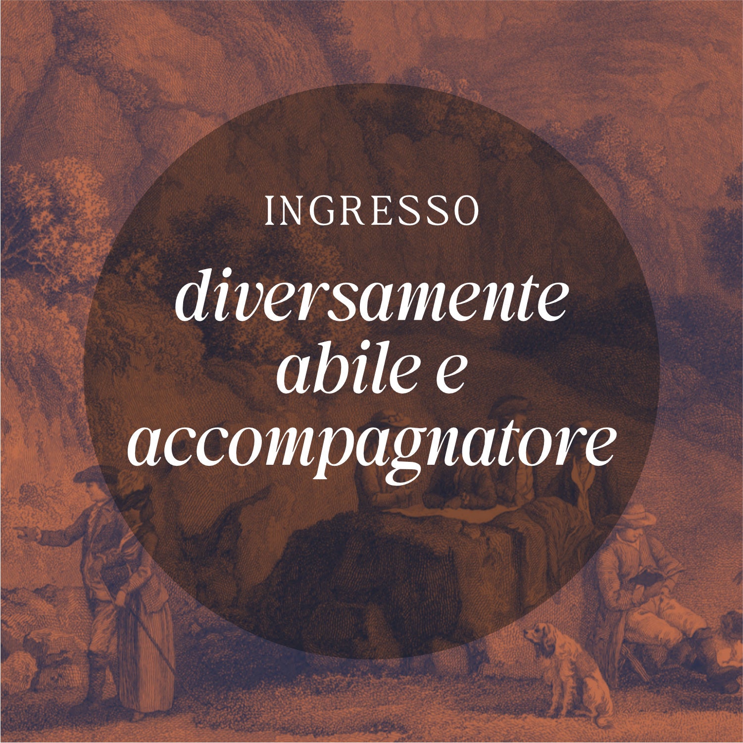 Contributo d'ingresso persona diversamente abile e accompagnatore